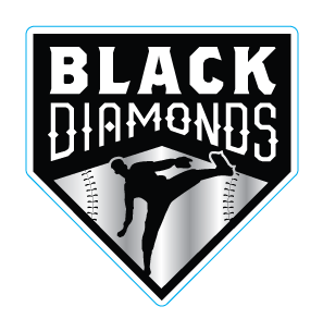 Black Diamond Logo Sticker