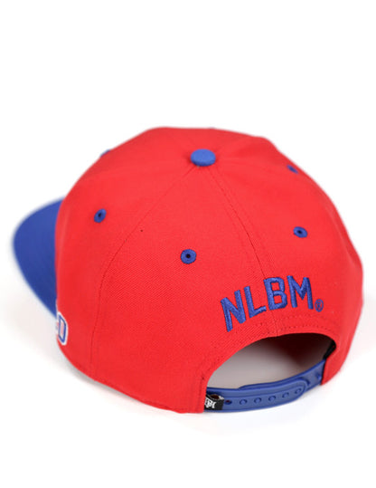 NLBM Flatbill Snapback