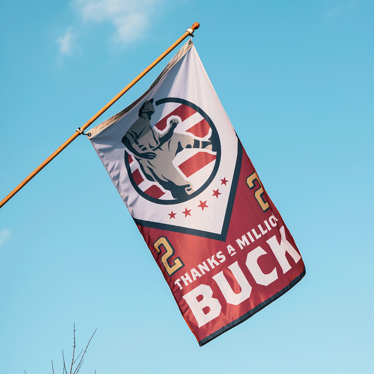 Buck O'Neil Commemorative Flag